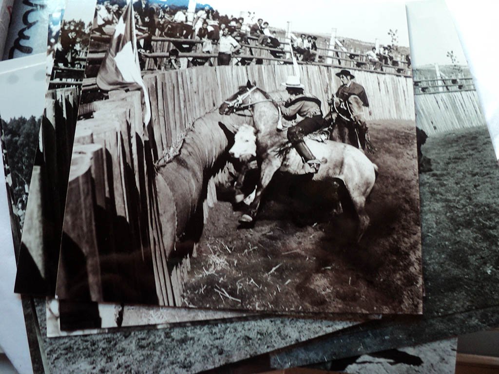 DSC03317